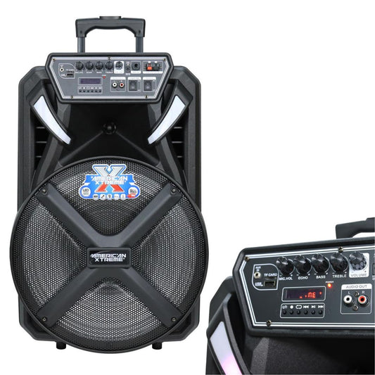 CAJA AMPLIFICADA PORTATIL 15 PULGADAS F1531