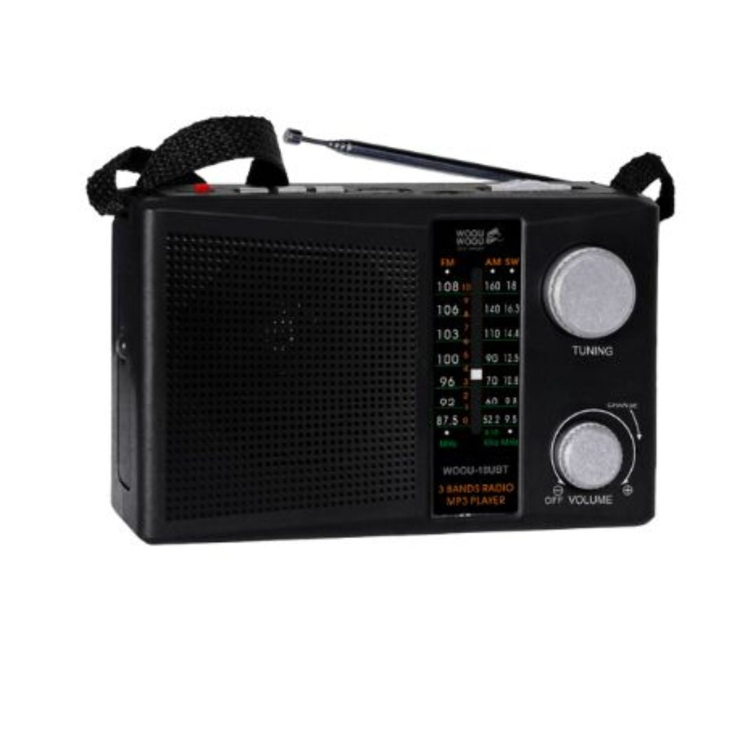 RADIO MULTIBANDA WOOU 18UBT